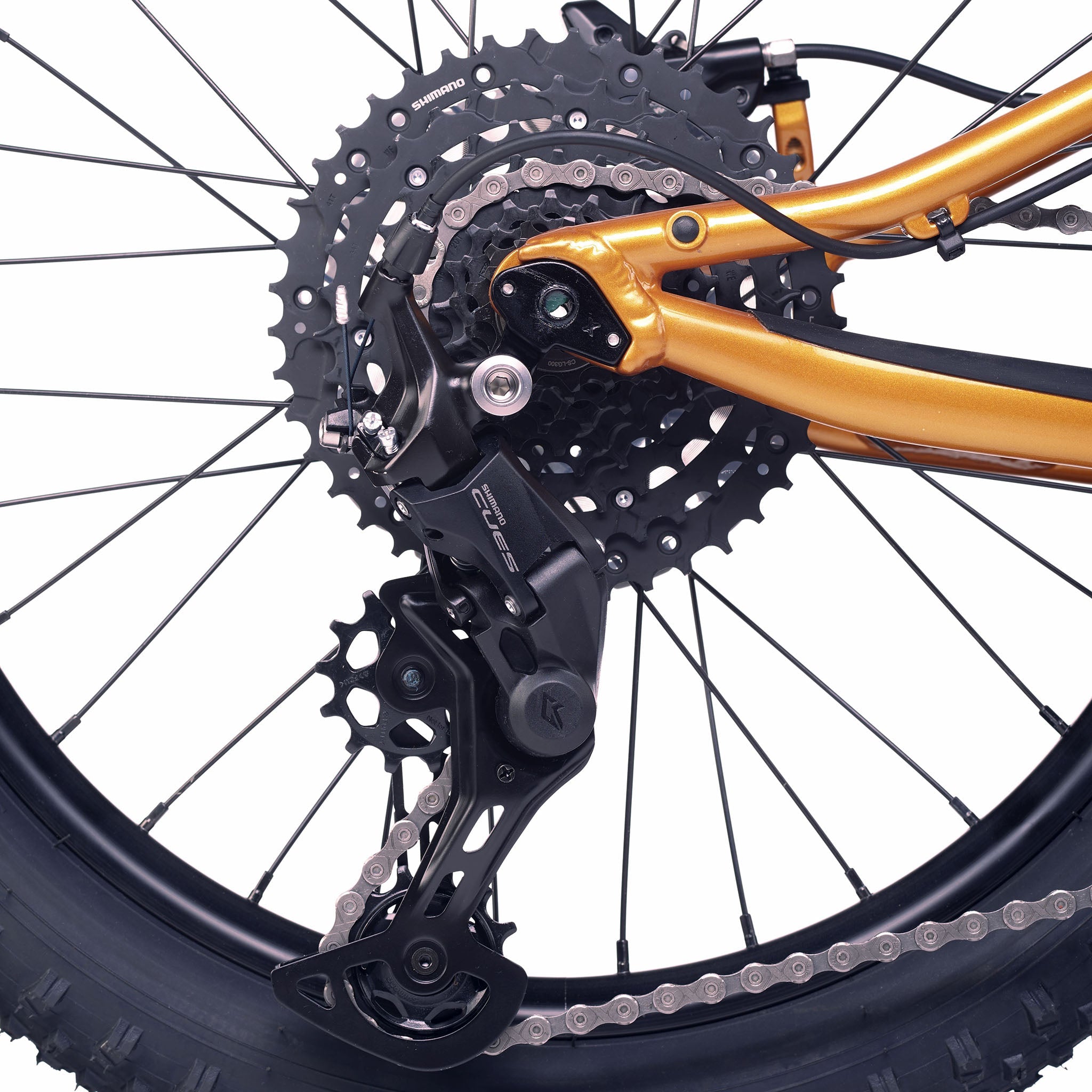 ACADEMY Trail 4 R - 20 Zoll Kinderfahrrad