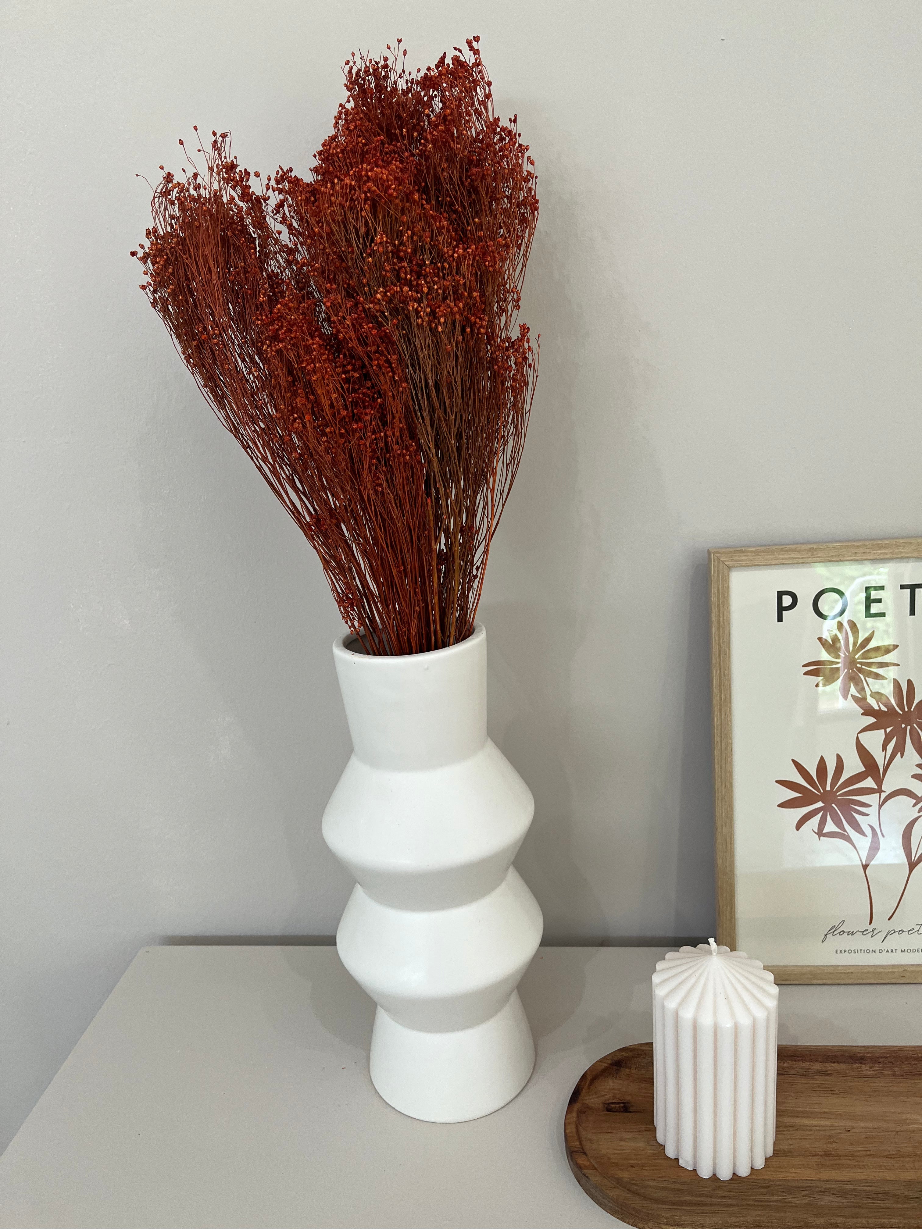 Broom Bloom - ein Bund