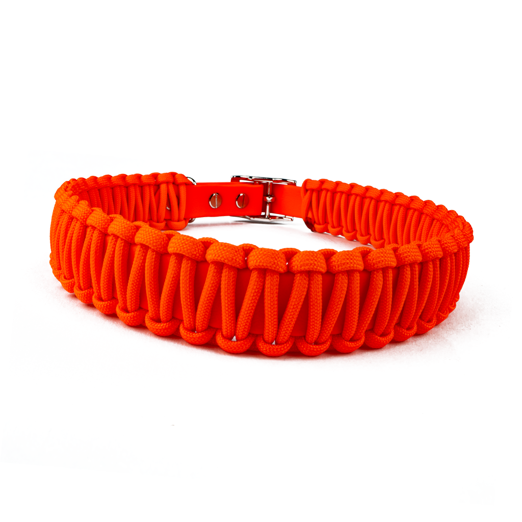 Hundehalsband Lori Tierluxe - Handgemacht, Paracord, Biothane