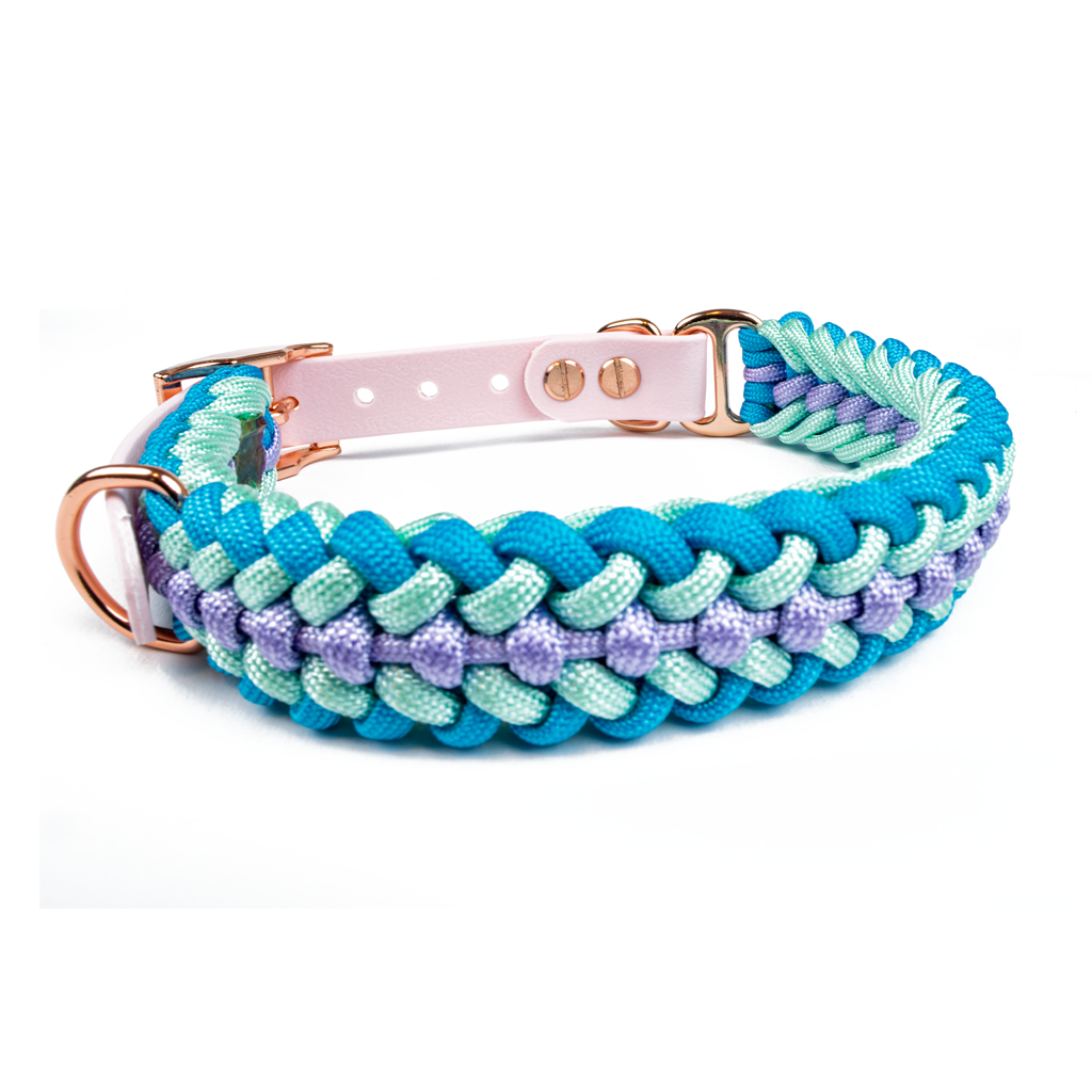 Hundehalsband Tierluxe Foxy Handgemacht Paracord Biothane