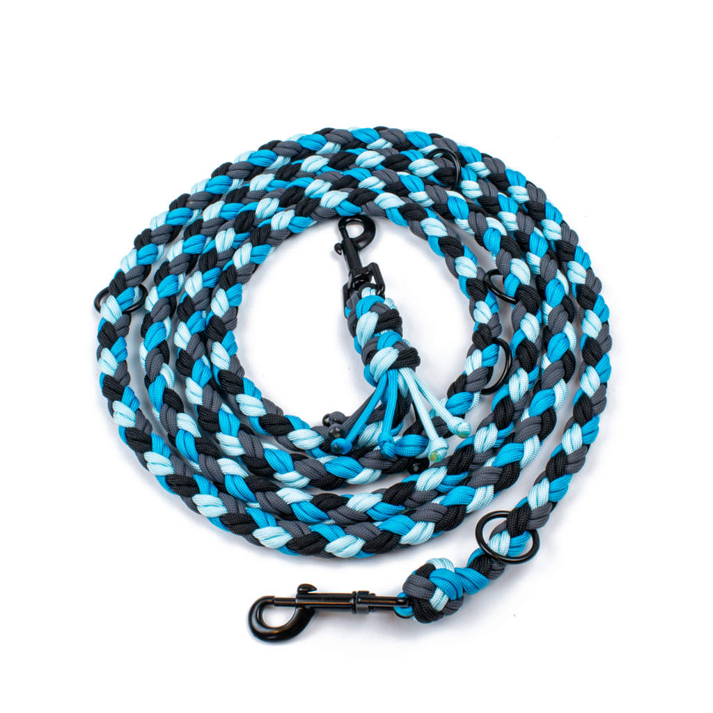 Hundeleine Tierluxe Natur Paracord Handgemacht