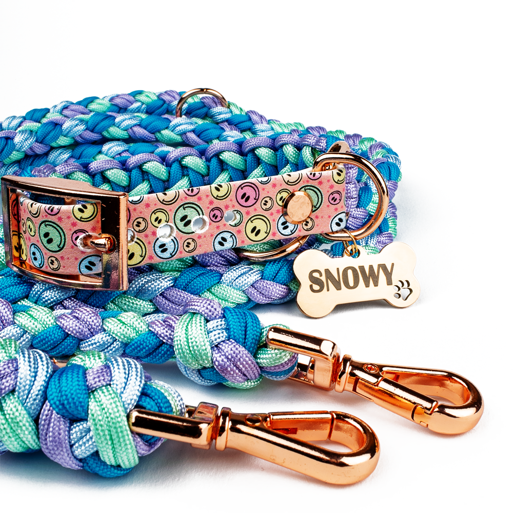 Verstellbare Führleine Tierluxe Snowy Blau Handgemacht Paracord Hundeleine