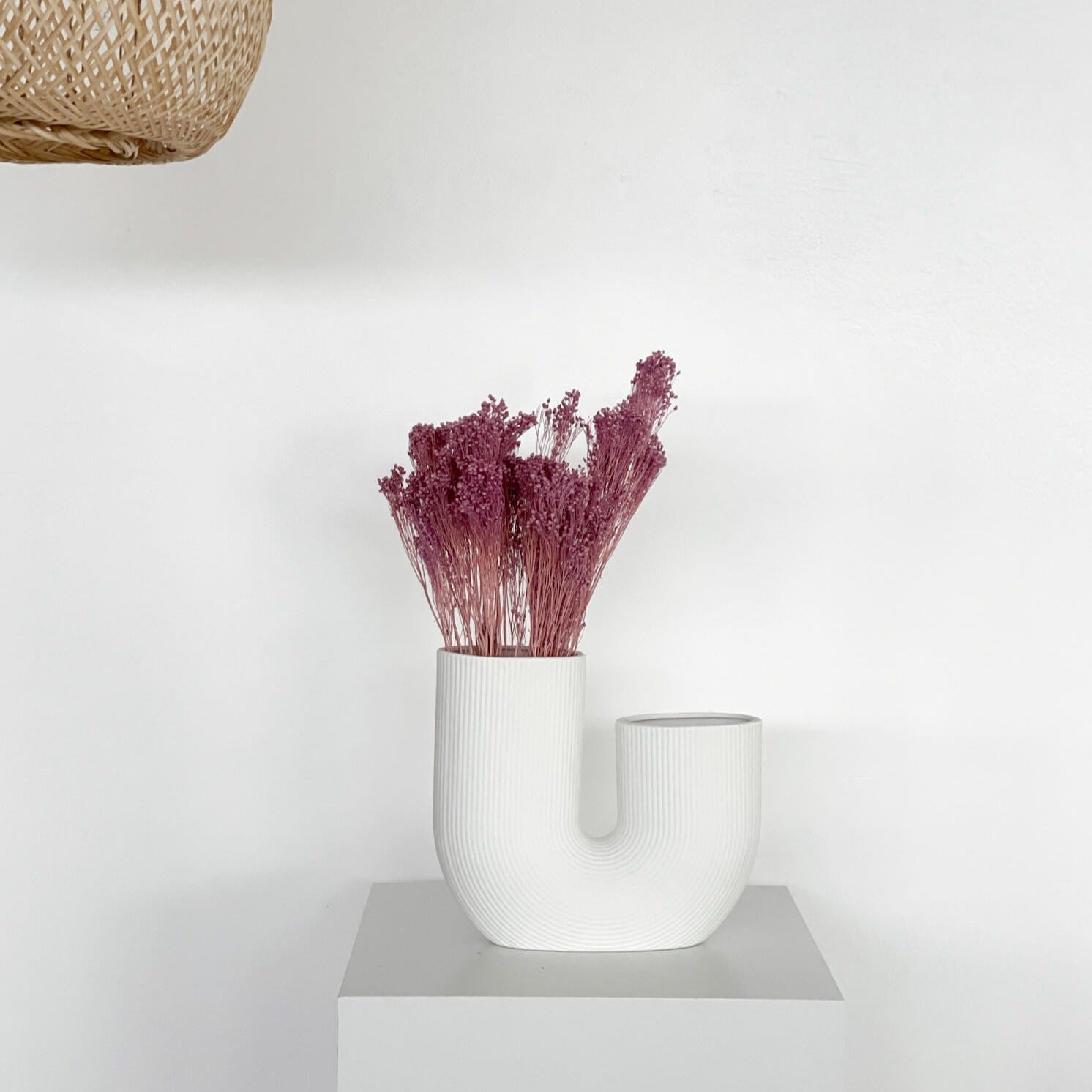 Broom Bloom - ein Bund