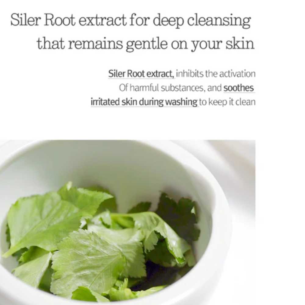 Pyunkang Yul | Cleansing Foam | Gesichtsreinigung | 150 ml