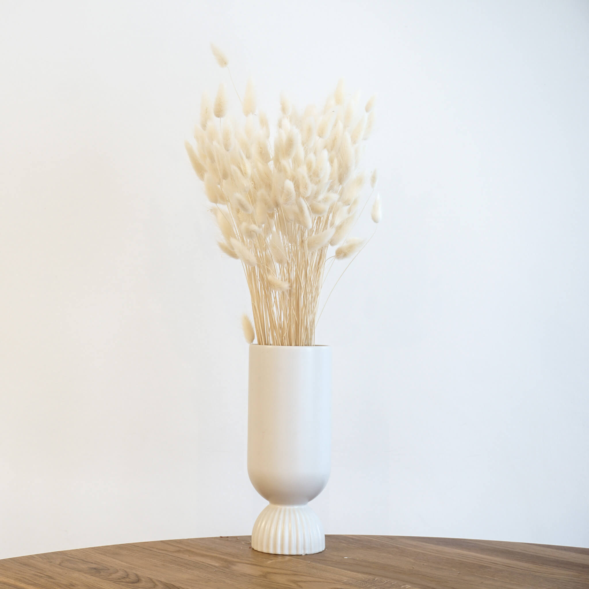 Lagurus | Samtgras | Hasenschwanz 60cm