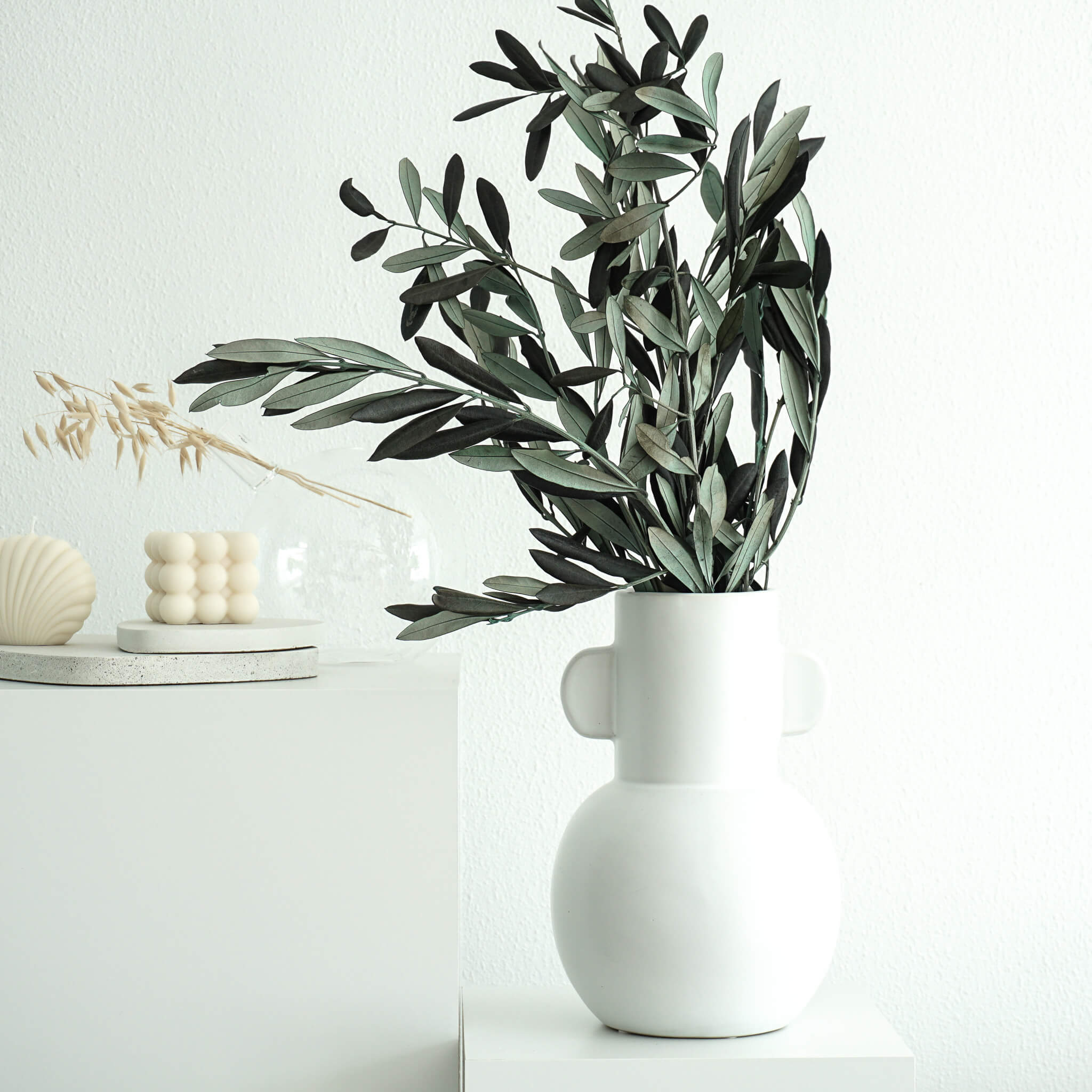 Konservierte Olivenzweige grün aus Italien