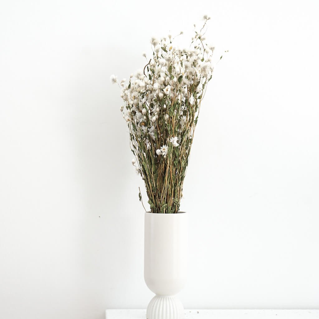 Rodanthe | großer Bund