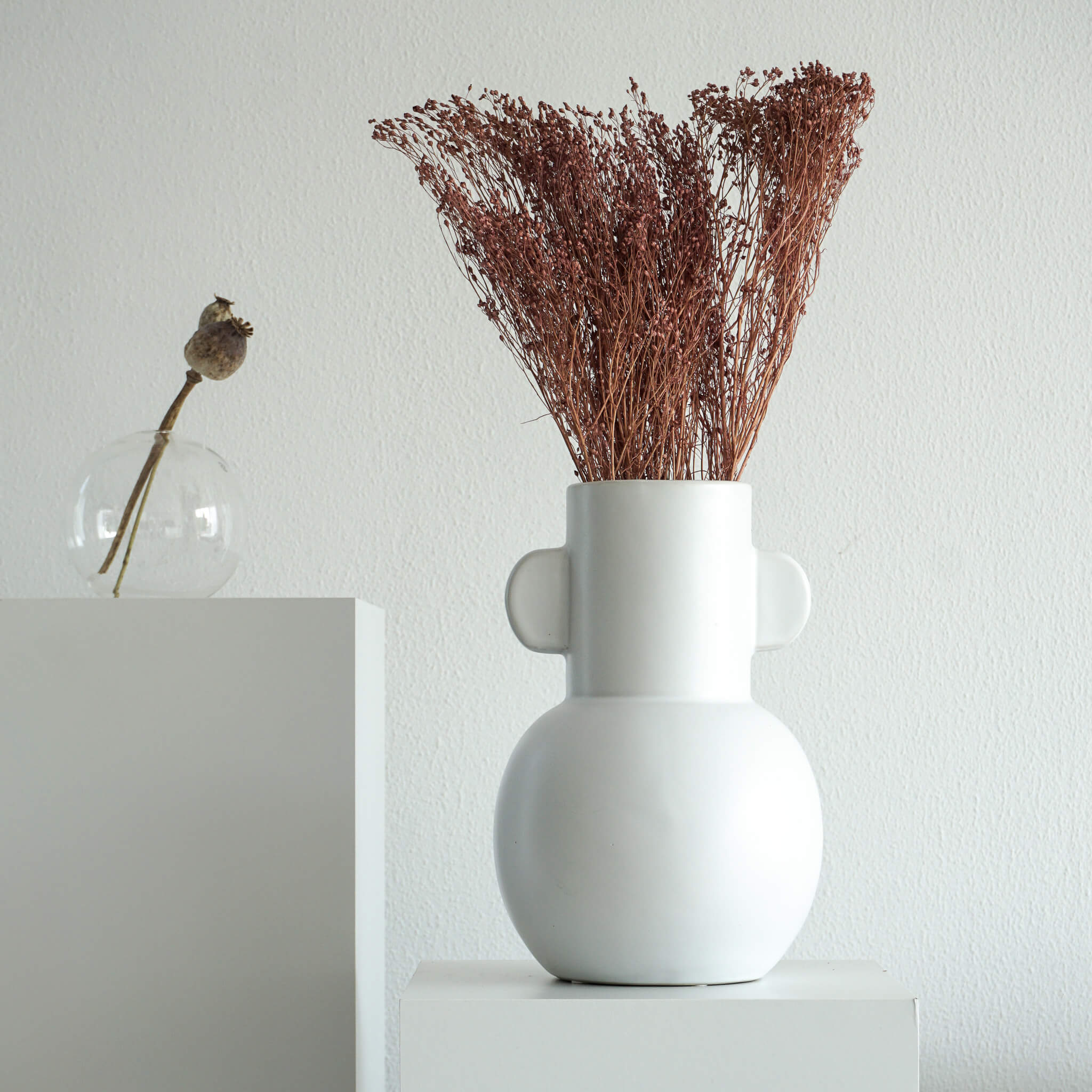 Broom Bloom - ein Bund