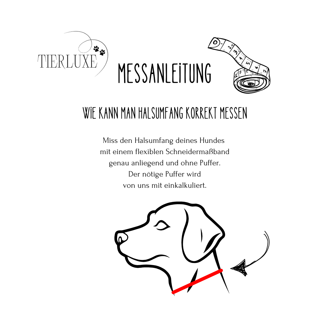 Hundehalsband Tierluxe Welle Paracord Biothane