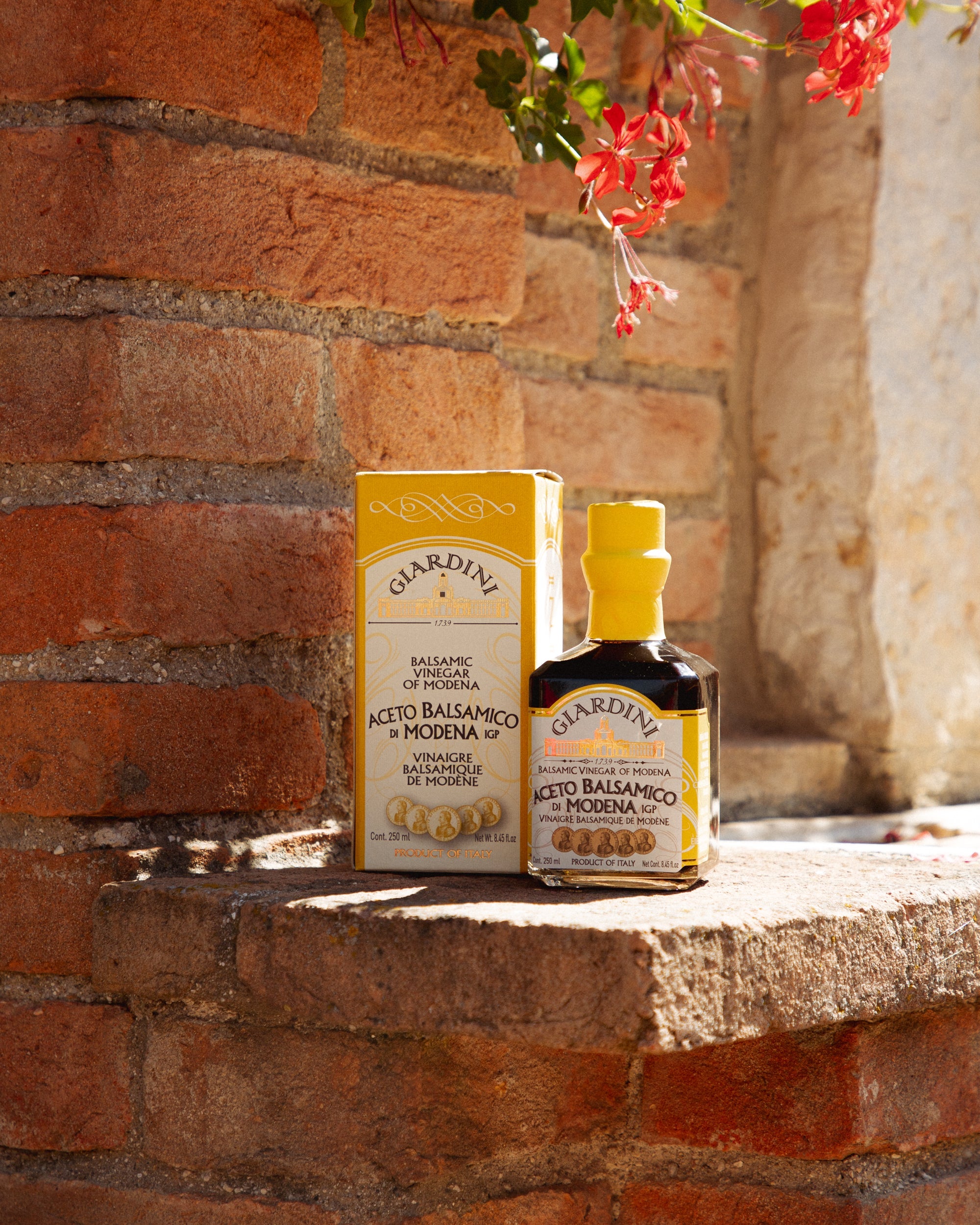 Aceto Balsamico di Modena 10 Travasi I.G.P.