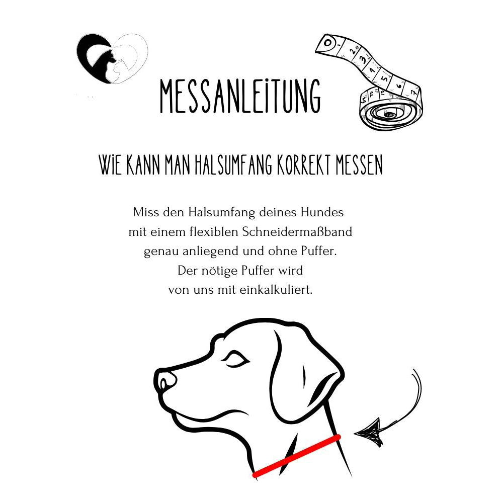 Hundehalsband Tierluxe Leo - Paracord , Schnellverschluss