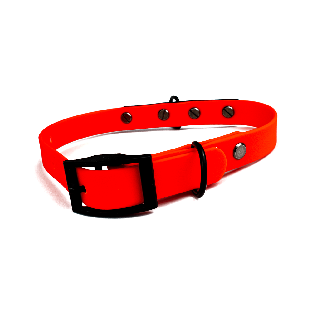 Halsband Tierluxe Ewigkeit Handgemacht Biothane