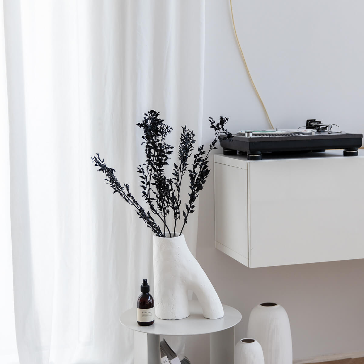 Ruskus / Mäusedorne konserviert