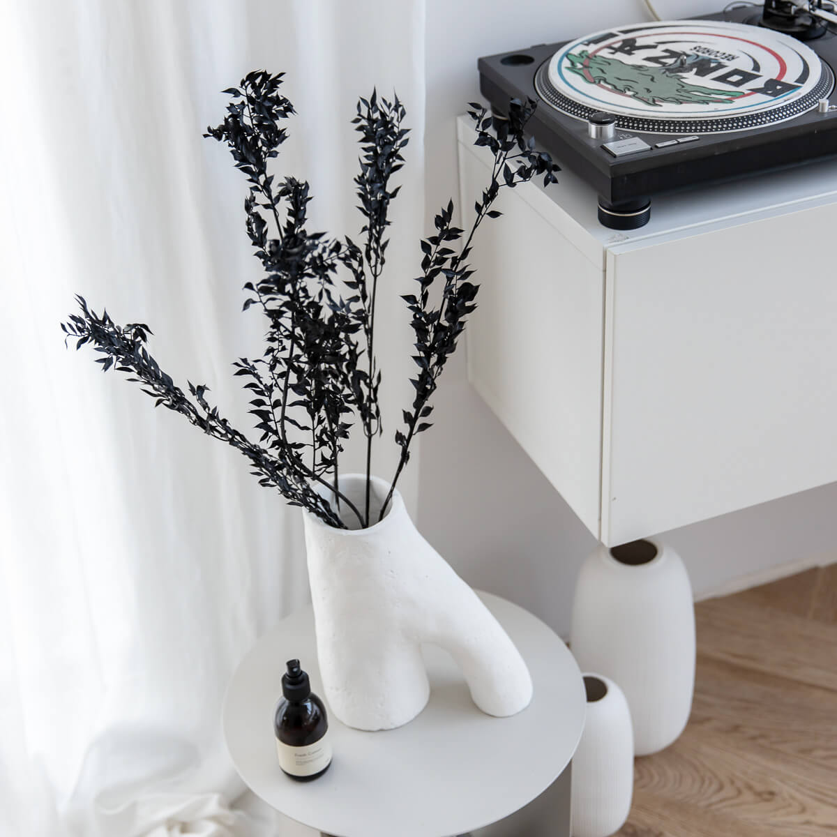 Ruskus / Mäusedorne konserviert