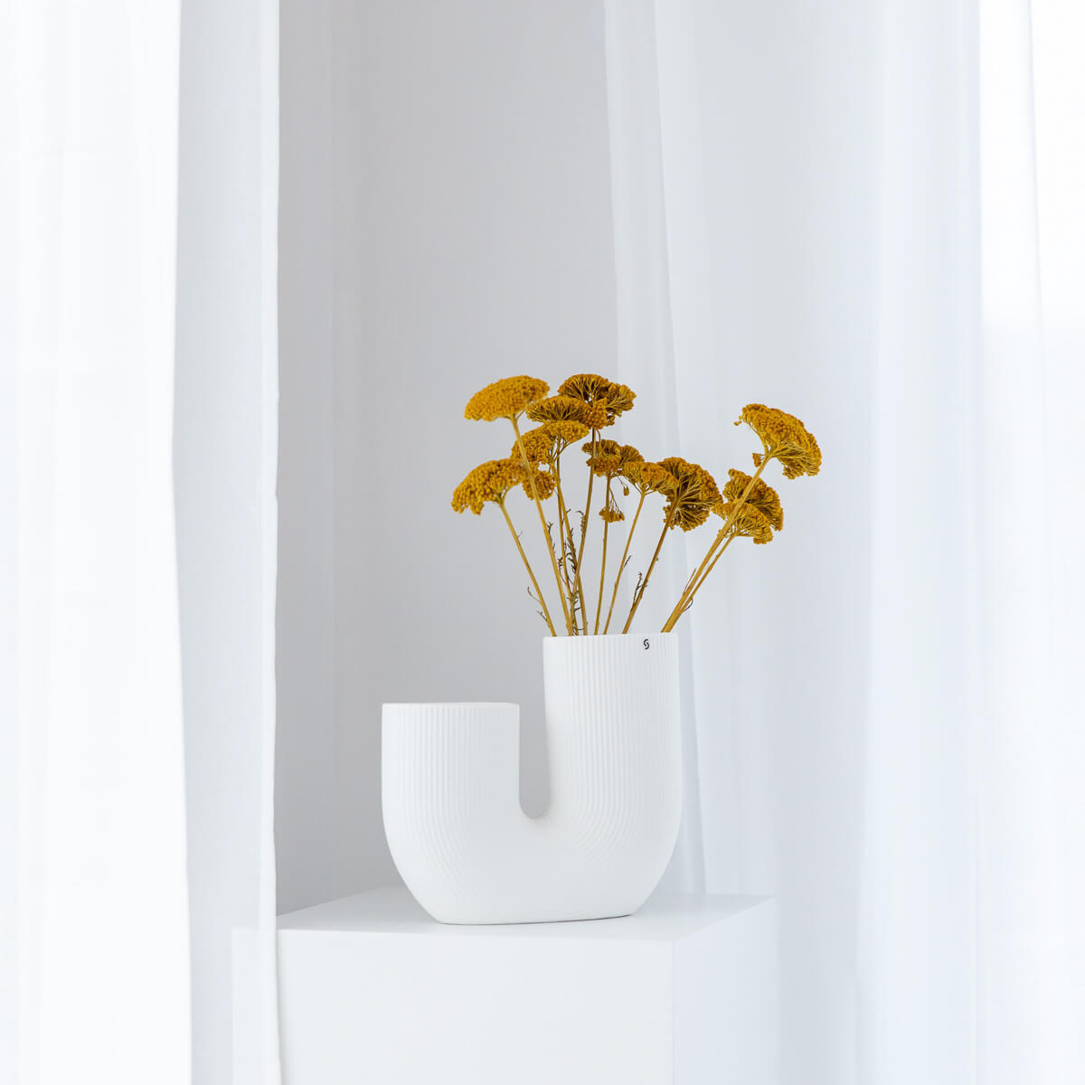 Schafgarbe getrocknet | Achillea