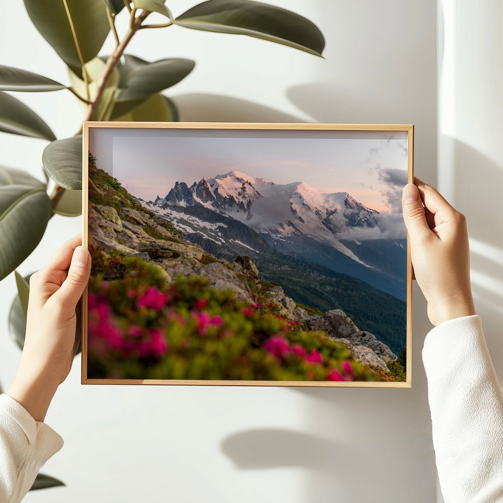 Mont Blanc Sunset Wall Art Print – Chamonix Alpine Landscape with Flowers