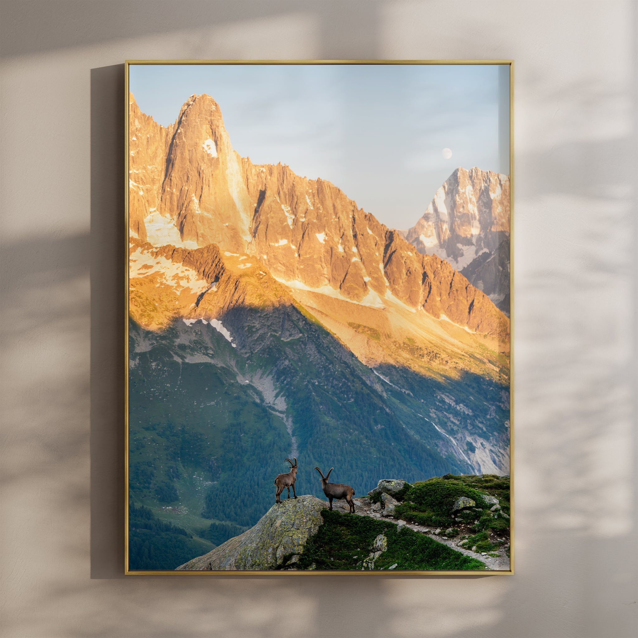Les Drus Ibex Sunset Print – Mont Blanc Alpine Wildlife and Nature Wall Art